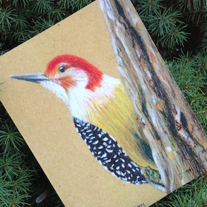 Downy Woodpecker Blank Card: Recycled Paper