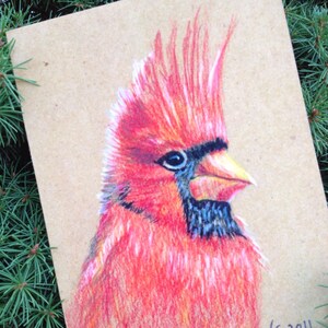 Cardinal blank note card