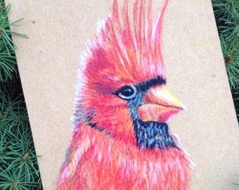 Cardinal blank note card