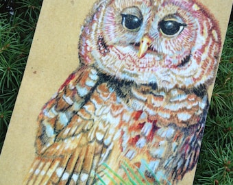 Barred Owl Blank Notecard