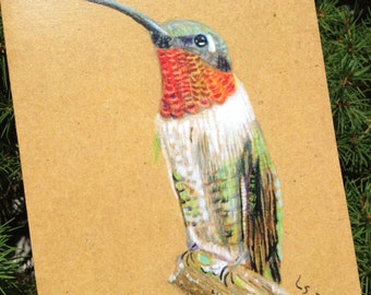 Ruby-Throated Hummingbird Card