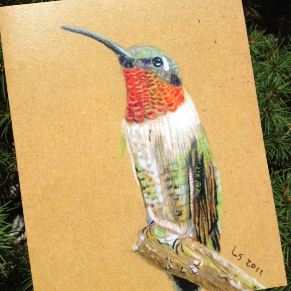 Ruby-Throated Hummingbird Card