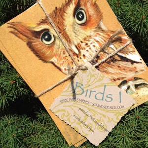 Hand illustrated eco-friendly native bird note cards Birds I image 1
