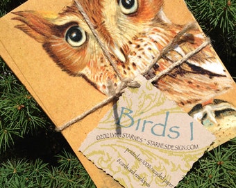 Hand illustrated eco-friendly native bird note cards (Birds I)