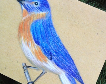 Blue Bird Blank Note Card