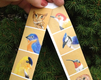 Bird Stickers