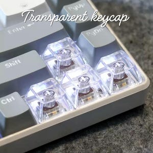 May include: A mechanical keyboard featuring several clear, transparent keycaps that reveal the internal switch mechanisms. The keyboard also includes solid grey keycaps with white text labels such as Enter, Shift, Ctrl, PgUp, and PgDn.