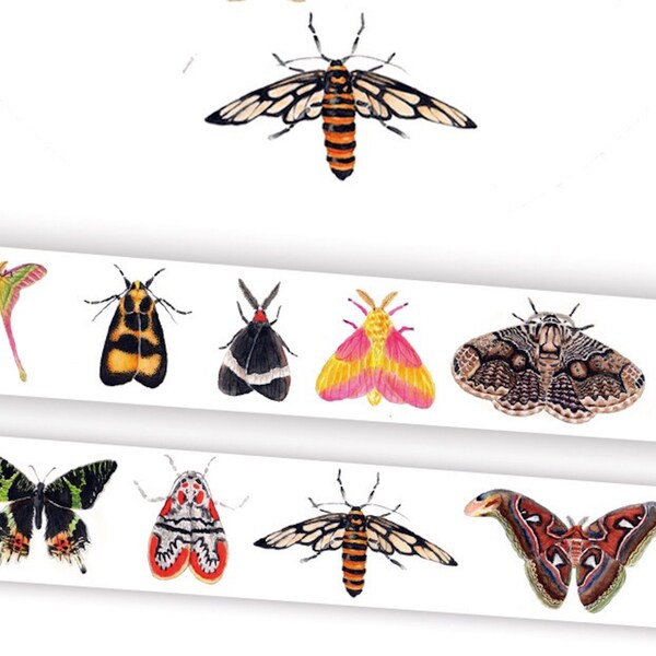 1 Roll of Limited Edition Washi Tape: Insects World