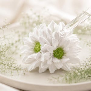 May include: A white flower with a bright green centre sits on a light-coloured plate, surrounded by delicate sprigs of baby's breath. A clear glass dropper is positioned above the flower, releasing a single droplet of liquid onto the petals.