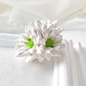 Könnte beinhalten: Eine weiße Blume mit zwei grünen Zentren. Die Blume liegt auf einer weißen Oberfläche.