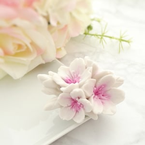 Può includere: Un gruppo di tre delicati fiori bianchi con centri rosa. I fiori sono disposti su una superficie bianca.