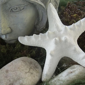 Könnte beinhalten: Weißer Keramik-Seestern mit strukturierter Oberfläche. Der Seestern liegt auf einem Bett aus grünem Moos.