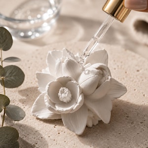 Könnte beinhalten: Ein weißer, blumenförmiger Diffusor aus Keramik mit detaillierten Blütenblättern und einem zentralen Stempel. Eine transparente Glastropfpipette mit goldfarbenem Ring befindet sich über dem Ornament und gibt einen Tropfen Flüssigkeit ab.