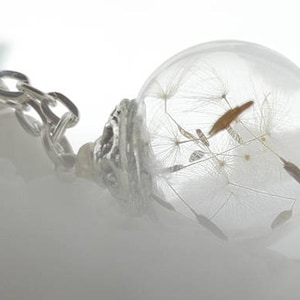 Kette echte Pusteblume * Wunsch * Wunschkette Halskette  Dandelion Terrarium Halskette, Löwenzahn Schmuck 45-80 cm Wunschlänge.