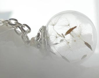 Necklace real dandelion * wish * wish necklace necklace dandelion terrarium necklace, dandelion jewelry 45-80 cm desired length.