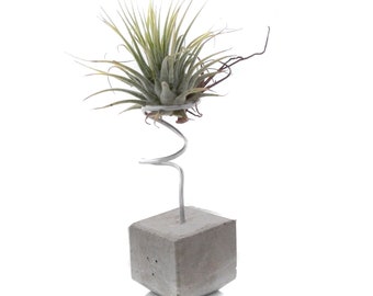 Tillandsia air plant holder, concrete air plant holder, gift idea - modern minimalist design, industrial design