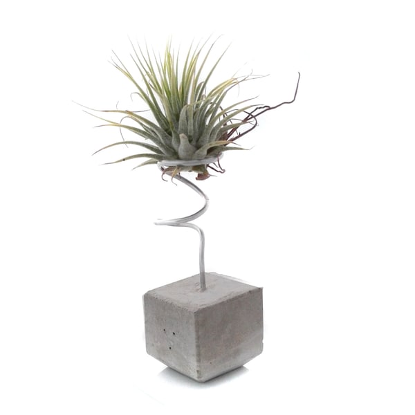 Support d’usine d’air Tillandsia, béton de support d’usine d’air, support d’usine d’air, idée cadeau -design moderne-minimaliste, design industriel