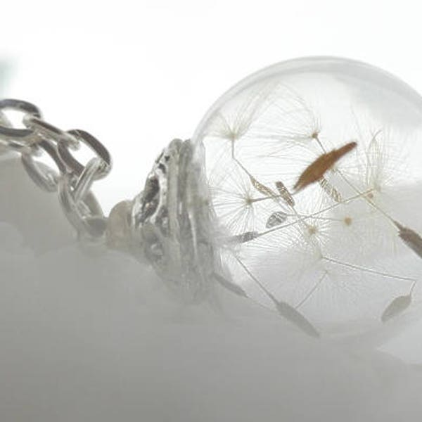 Necklace real dandelion * wish * wish chain necklace Dandelion Terrarium necklace, dandelion jewelry 45-80 cm desired length.