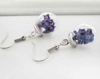 real flowers forget-me-not earrings, gift dried flowers