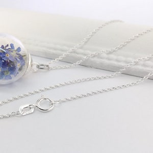 925 Sterling Silver Forget-me-not forget me not 45cm Flowers Necklace Necklace Jewelry with Real Forget My Not Flowers image 4