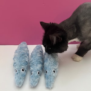 Cat Toy Worm On A String