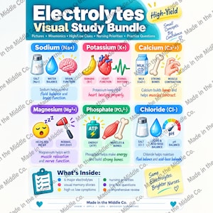 Może przedstawiać: Edukacyjna infografika zatytułowana Electrolytes Visual Study Bundle. Zawiera sześć sekcji dotyczących sodu, potasu, wapnia, magnezu, fosforanu i chlorku, wykorzystując kolorowe ikony i tekst do wyjaśnienia ich ról w ludzkim organizmie.