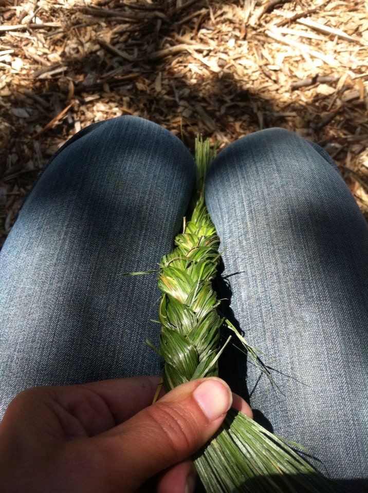 Dried Sweet Grass Home Grown Hand Harvested Braided Organic Etsy