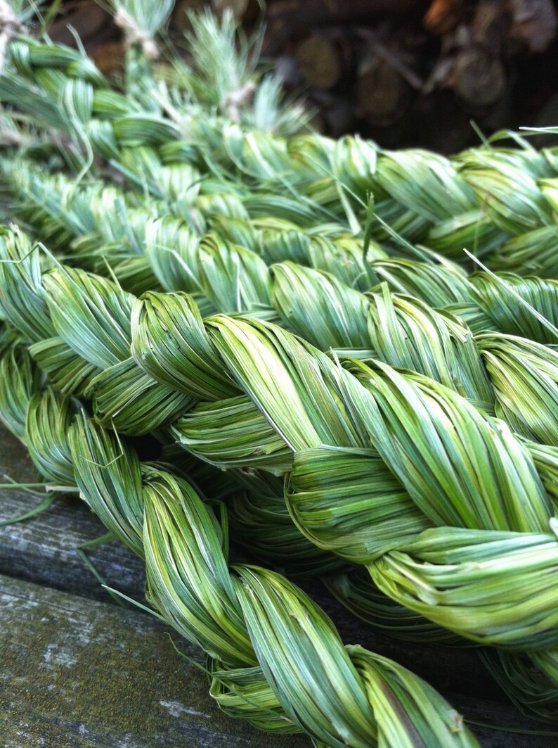 Dried Sweet Grass Home Grown Hand Harvested Braided Organic Etsy