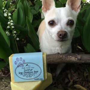 Handmade Dog Shampoo : Vegan Sulfur in Solid Bar Abundant Bubbles Lasts a Long Time - Reduce Plastics