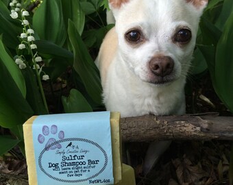 Handmade Vegan Dog Shampoo Bar: Sulfur Soap, Abundant Bubbles