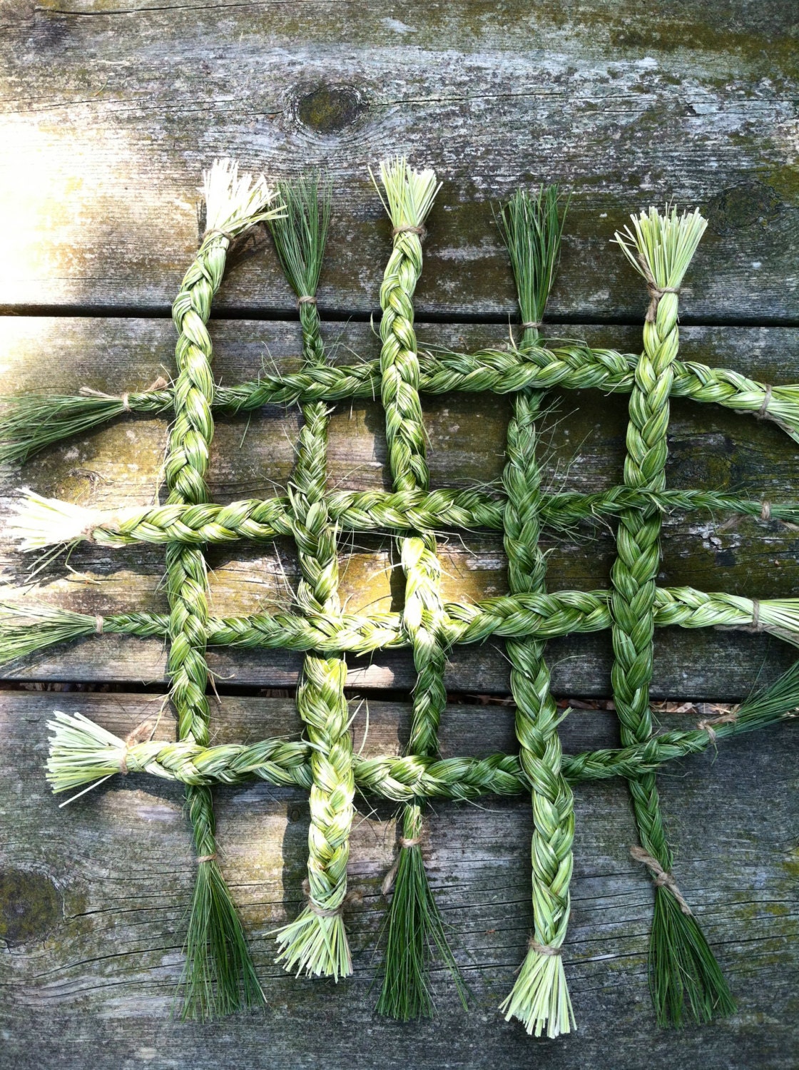 Dried Sweet Grass Home Grown Hand Harvested Braided Organic Etsy