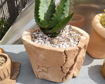 Slab Built Stoneware Clay Crackle Pot Cactus and Succulent Pot