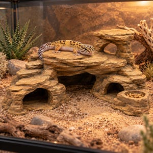 Puede incluir: Un gecko leopardo con manchas amarillas y marrones descansa sobre una formación rocosa de color canela de varios niveles con dos entradas de cueva y un pequeño cuenco integrado lleno de gusanos de la harina en un terrario.