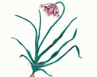 Nodding Wild Onion wildflower watercolor print, pink, purple, green, brown, JPG file, Instant Download