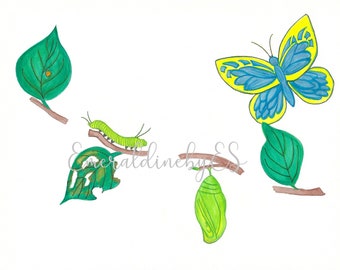 Butterfly metamorphosis including egg, caterpillar, cocoon and butterfly, watercolor painting, Fine art print, JPG file, Instant Download