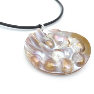 Puede incluir: Un collar con un colgante de plata y un gran colgante redondo de nácar iridiscente. La concha tiene una forma natural y orgánica y presenta un grupo de pequeñas perlas blancas.