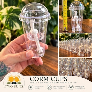 May include: A clear plastic cup with a dome lid and a white cotton wick for plant propagation. The cup features ventilation holes and a self-watering design. A yellow measuring tape shows the cup is approximately 4 inches tall.