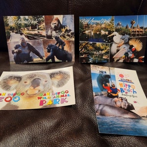 サンディエゴ動物園の写真付き本物ポストカード 4枚セット 高品質 1994 1995 ポストカード