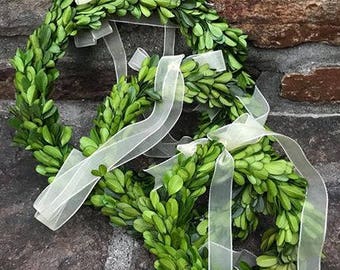 Farmhouse Decor, Mini Boxwood Wreath, Mini Wreath,Boxwood Wreath,Farmhouse Wreath,Year Round Wreath, Boxwood Accent Wreath, Farmhouse Accent