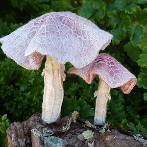 pattern Hand Embroidered toadstool mushroom Hand Embroidery PDF Instructions-- mushroom Pattern stumpwork by TAETIA