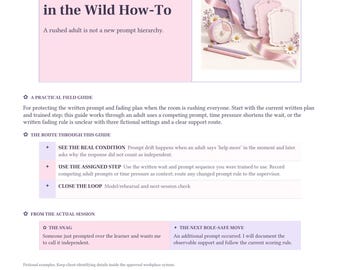 RBT Prompting and Fading in the Wild How-To | Printable PDF