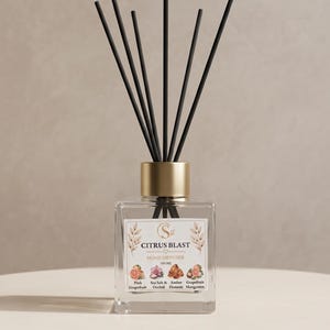 May include: A clear glass home diffuser bottle with a gold cap and six black reed sticks. The label reads Citrus Blast Home Diffuser 100 ml, featuring illustrations of pink grapefruit, sea salt, orchid, amber, and mangosteen.