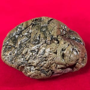 May include: A smooth, rounded stone with a tan and grey surface featuring a complex network of dark, recessed cracks and fissures. The texture appears weathered and uneven, with a polished sheen that highlights the deep, intricate patterns.