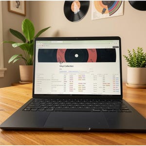 Vorlage für eine digitale Vinyl-Schallplattensammlung | Schallplatten-Tracker & Musikdatenbank