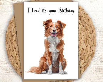 Red Australian Shepherd Birthday Card: Personalized Aussie Greeting