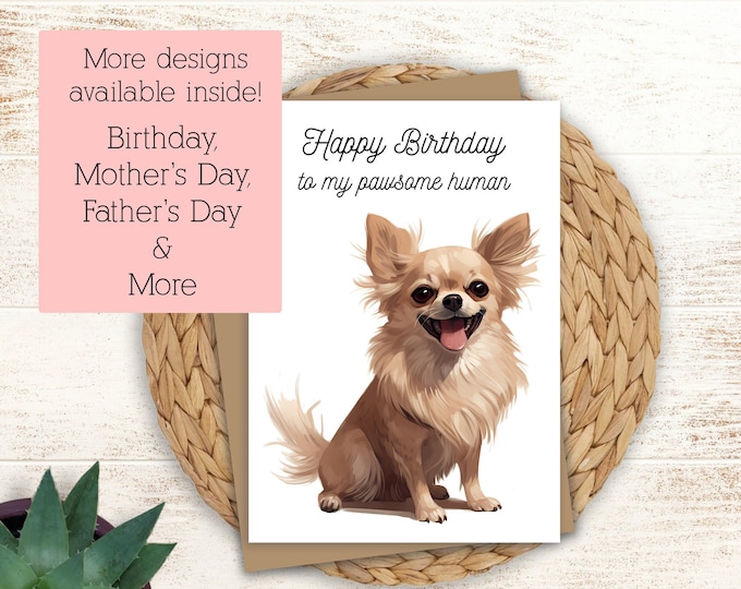 Funny Chihuahua Birthday Card: Pawsome Human, Personalized Message