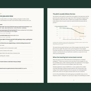 May include: Two pages of a printed worksheet titled Where you are now, featuring numbered questions about tinnitus awareness, loudness, and sleep impact, alongside a graph titled A typical audiogram with tinnitus and explanatory text.