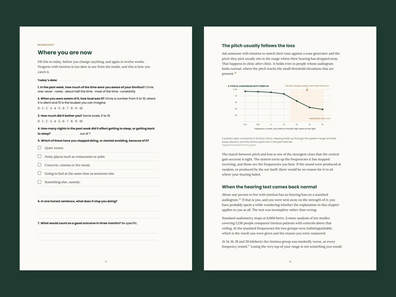 May include: Two pages of a printed worksheet titled Where you are now, featuring numbered questions about tinnitus awareness, loudness, and sleep impact, alongside a graph titled A typical audiogram with tinnitus and explanatory text.