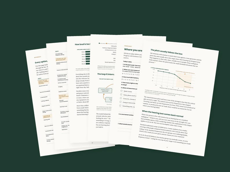 May include: A stack of white informational pages featuring black text, headers, and charts about hearing health. The documents include sections titled Where you are, The pitch usually follows the loss, and How loud is too loud, with diagrams.