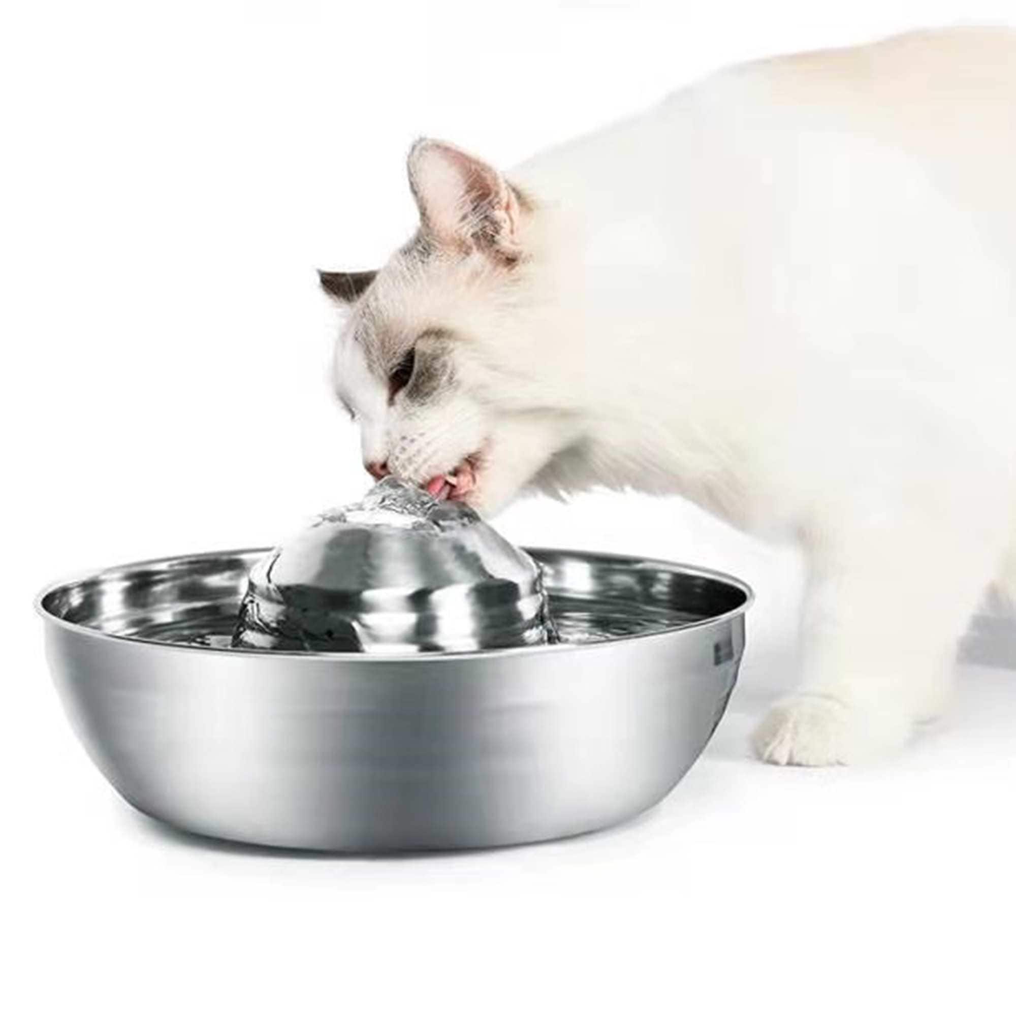 cat drinking fountain australia